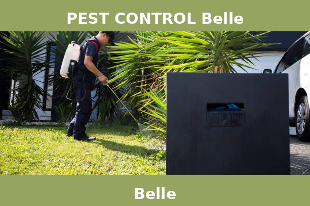 PEST CONTROL Belle